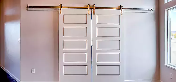 Glass Barn Door with Installation Hardware Kit Lewisville
