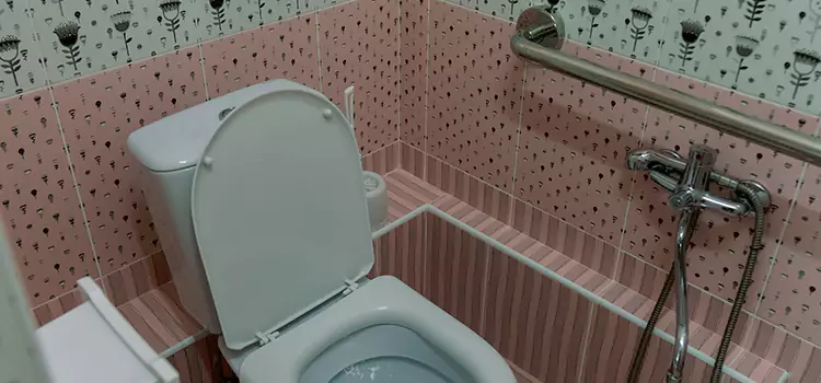 Meeting Diverse Needs With Accessible Restroom Solutions in Lewisville, TX