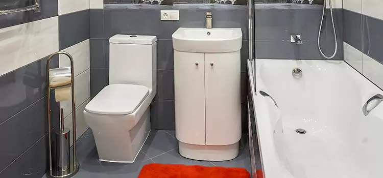 Hansgrohe Shaving Mirror Lewisville